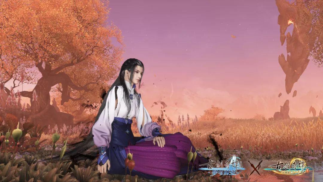 暗黑精灵的装扮