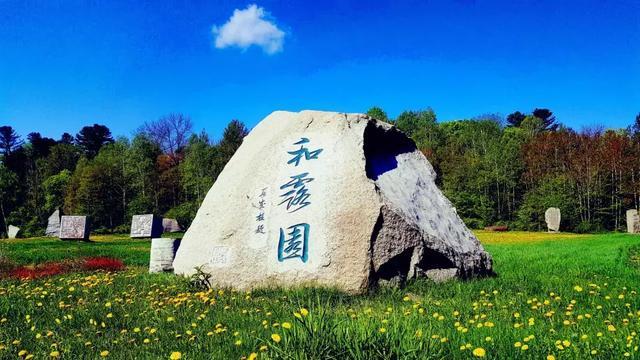 寻找沙漠珍宝