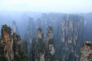 虫虫助手下载