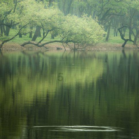 牛油果面包