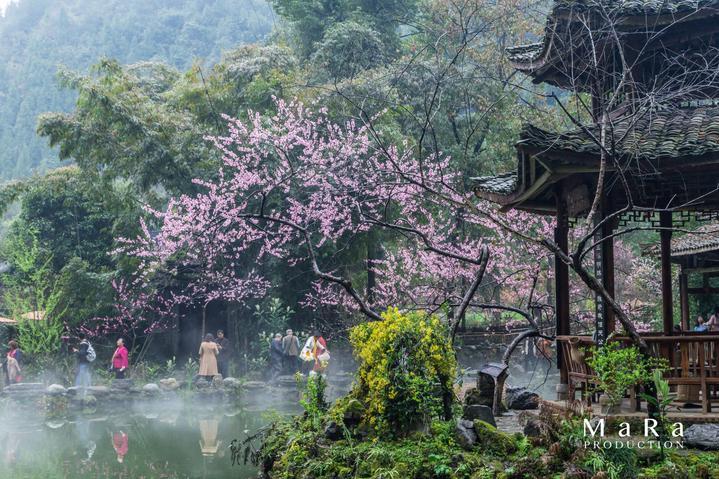 万词王