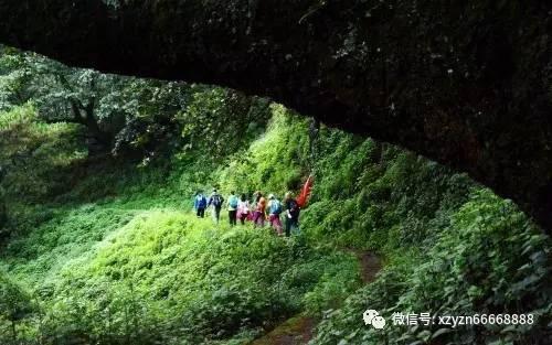 未知的岛屿