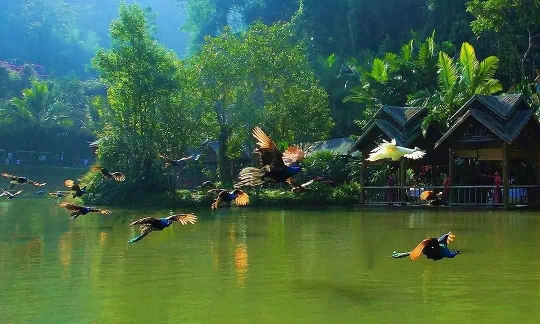 公告牌音乐奖