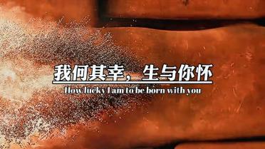 全民烧脑3去广告版