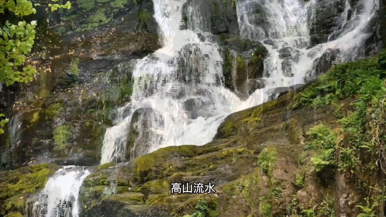 知临集团盘中异动 早盘股价大涨8.28%