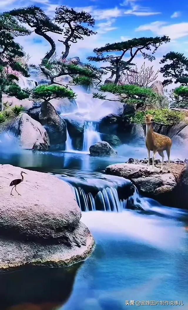 救援网球女孩