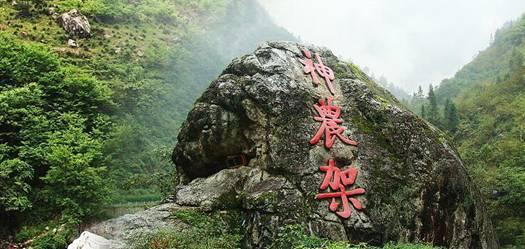 拯救蓝色小鸟