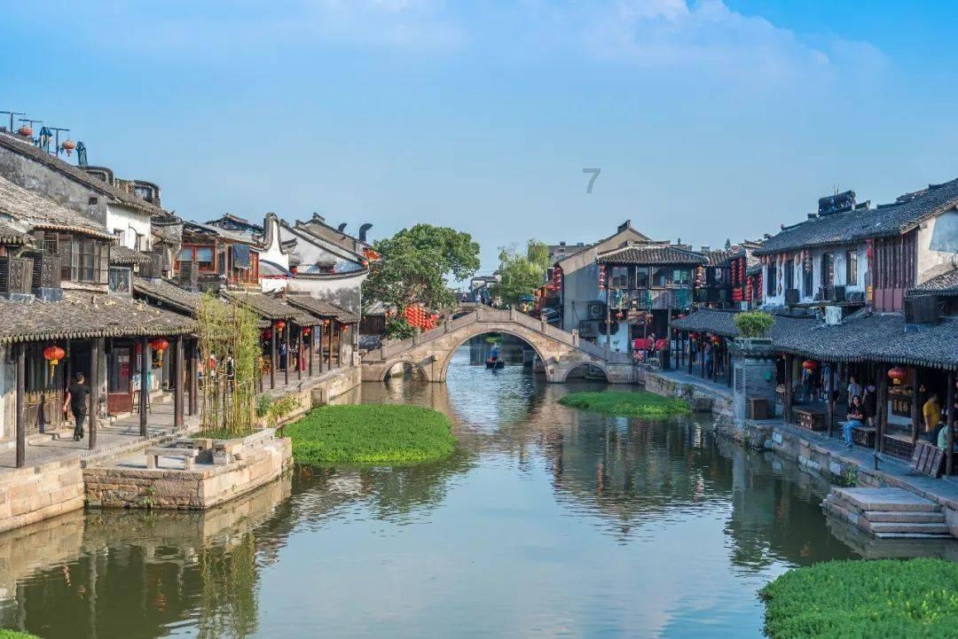 赵露思化秋日小熊妆清纯甜美 与狗狗互动好有爱