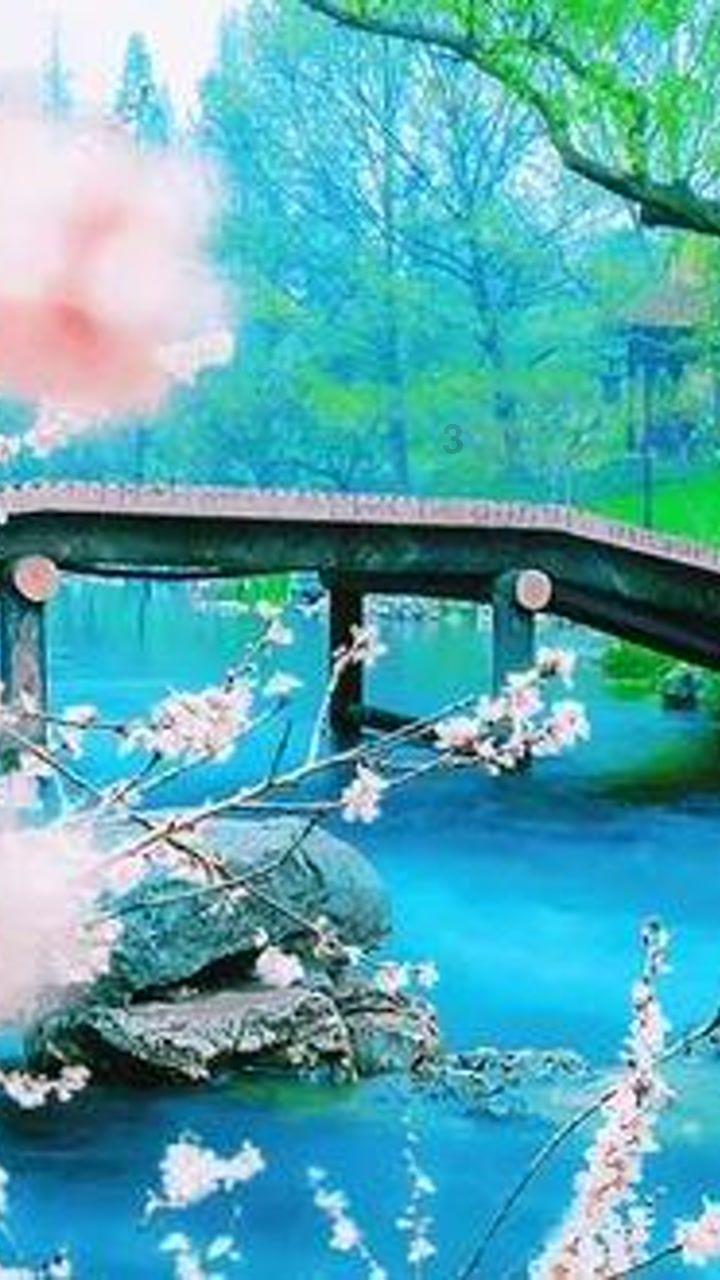 沪江开心词场
