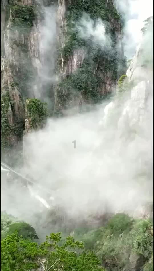 食物和烹饪