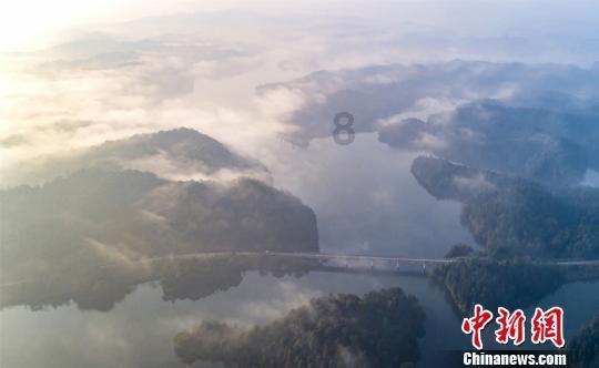 空洞骑士